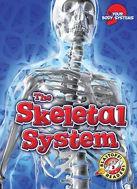 The Skeletal System