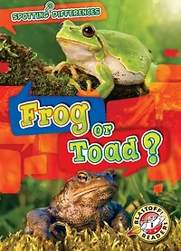 Frog or Toad?
