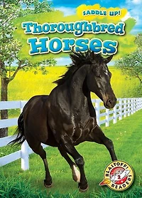 Thoroughbred Horses