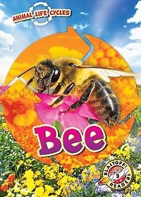 Animal Life Cycles: Bee