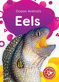 Eels