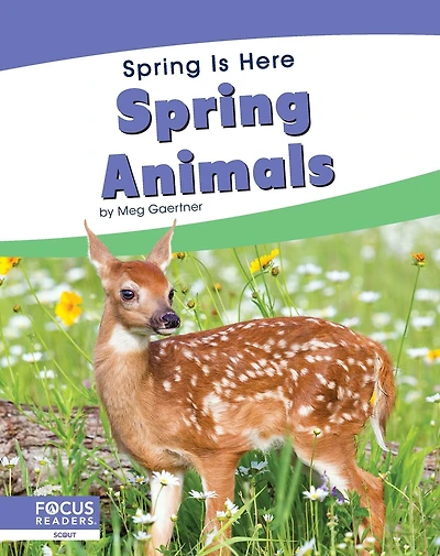 Spring Animals