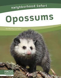 Opossums
