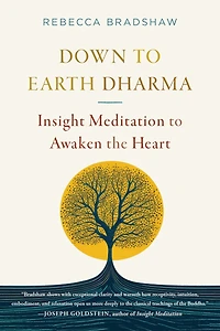 Down to Earth Dharma: Insight Meditation Awaken the Heart