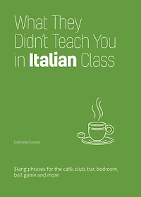 What They Didn't Teach You Italian Class: Slang Phrases for the Cafe, Club, Bar, Bedroom, Ball Game and More