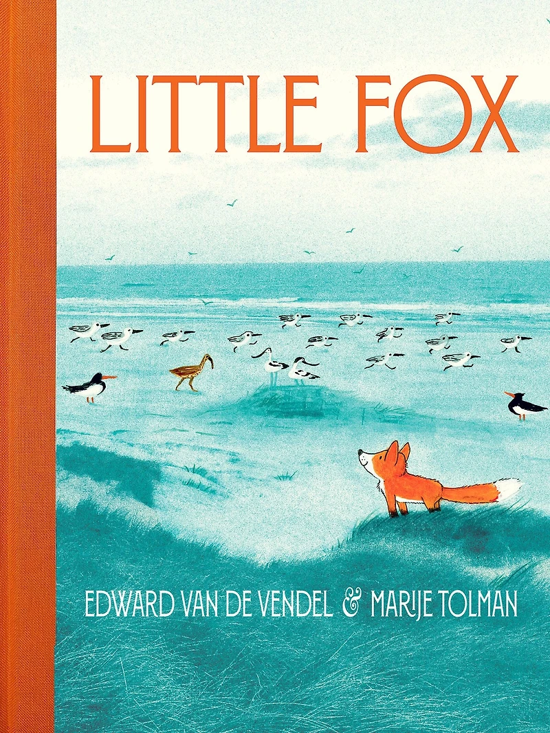 Little Fox