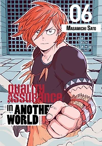 Quality Assurance Another World 6