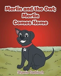 Merlin and the Owl: Comes Home