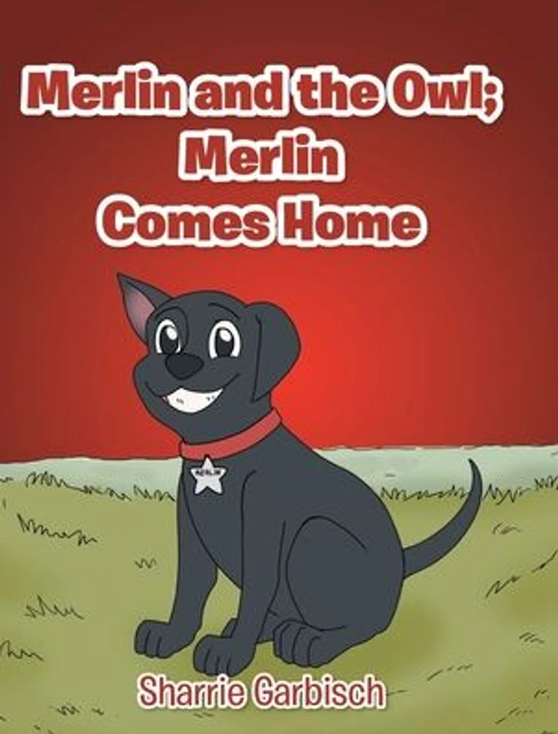 Merlin and the Owl: Comes Home