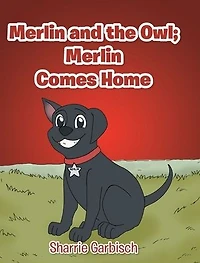 Merlin and the Owl: Comes Home