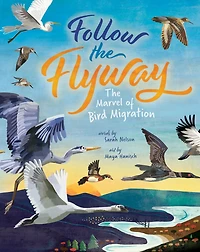 Follow The Flyway: Marvel of Bird Migration