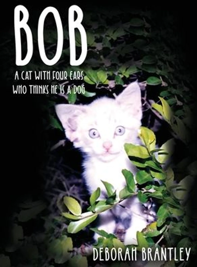 Bob: a Cat with Four Ears Who Thinks He Is Dog