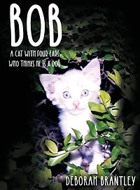 Bob: a Cat with Four Ears Who Thinks He Is Dog