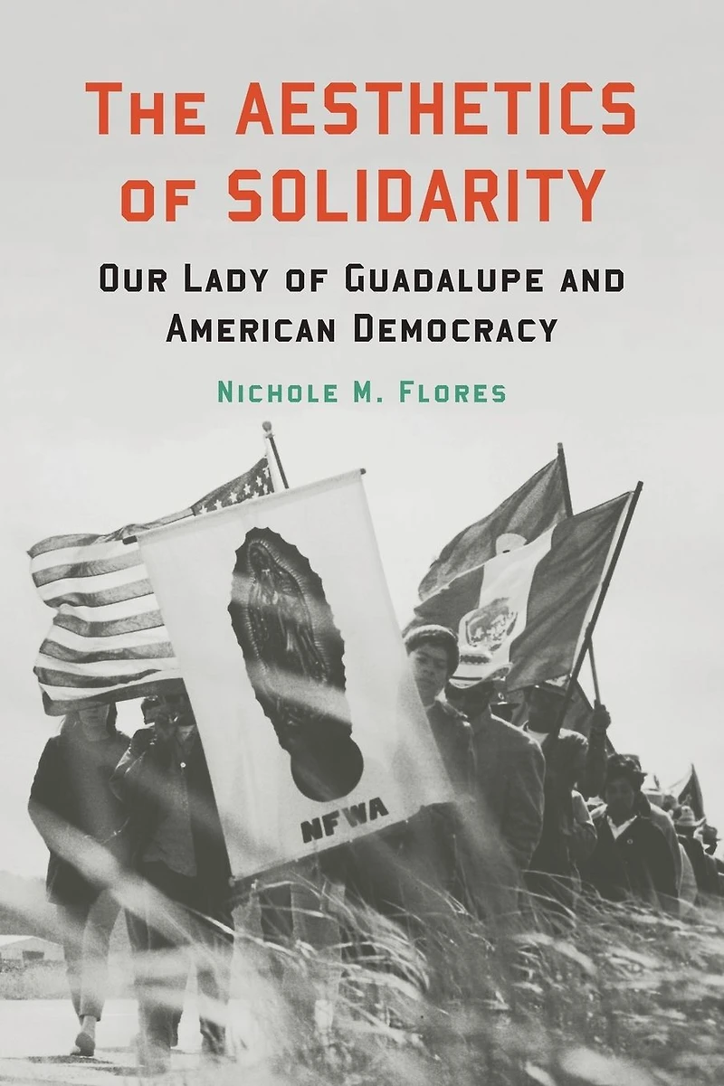 The Aesthetics of Solidarity: Our Lady Guadalupe and American Democracy