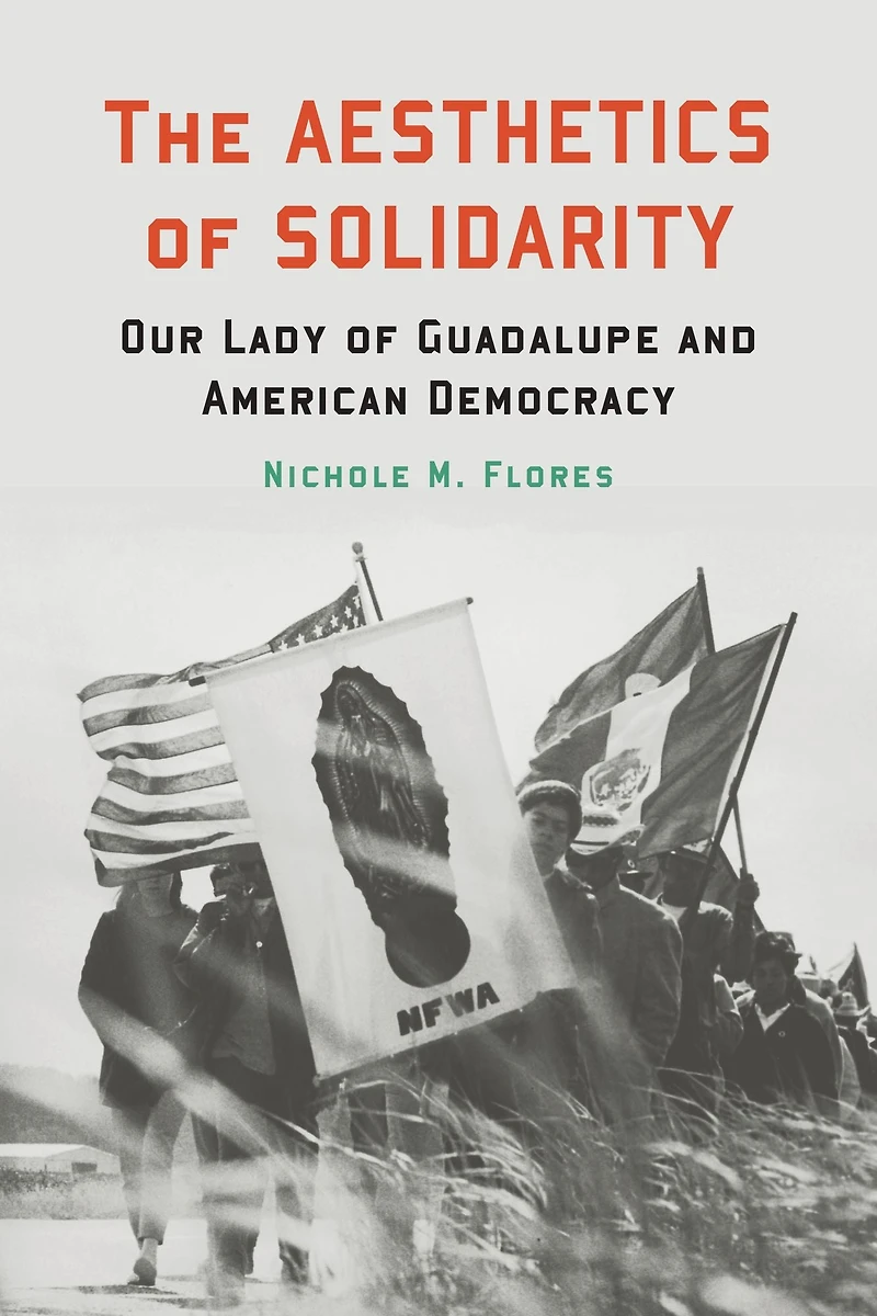 The Aesthetics of Solidarity: Our Lady Guadalupe and American Democracy