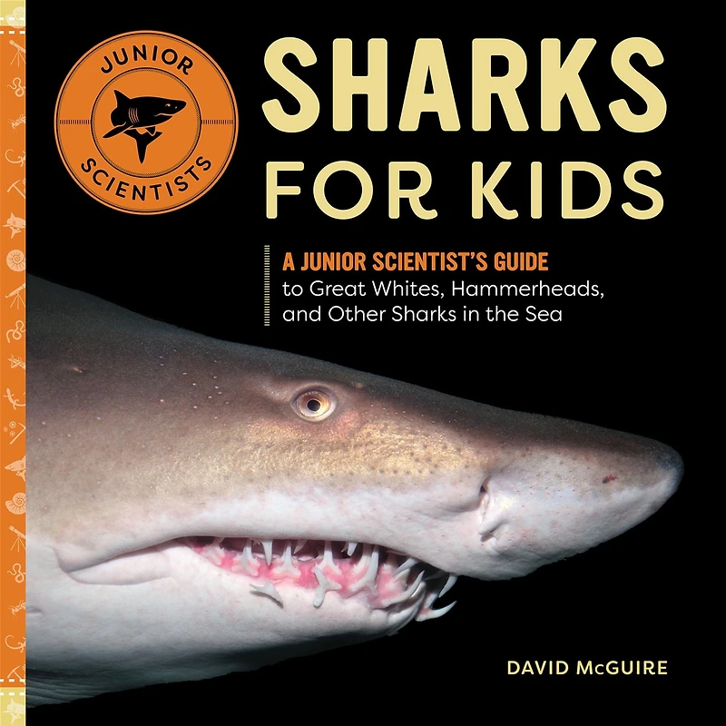 Sharks for Kids: A Junior Scientist's Guide to Great Whites, Hammerheads, and Other the Sea