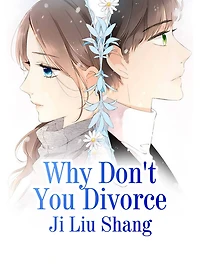 Why Don't You Divorce: Volume 1