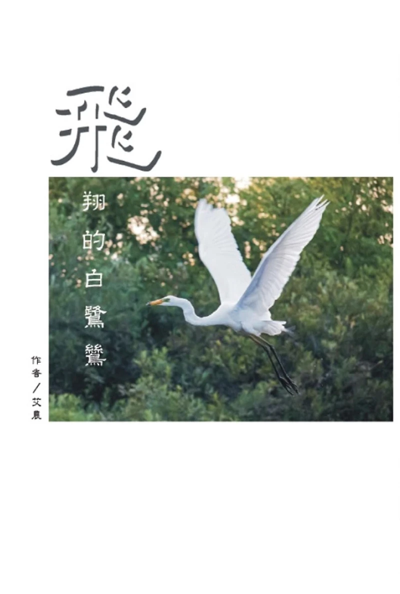 The Flying Egret: ??????