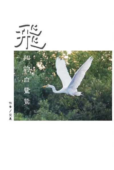 The Flying Egret: ??????