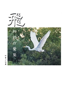 The Flying Egret: ??????