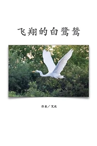 ??????(?????): The Flying Egret (Traditional Chinese Edition)