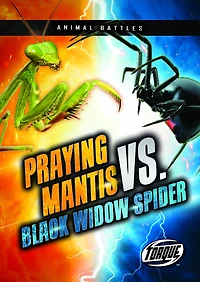 Praying Mantis vs. Black Widow Spider