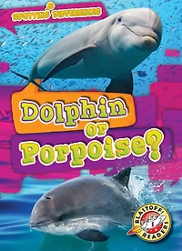 Dolphin or Porpoise?