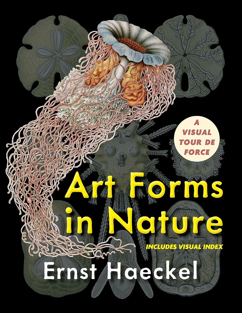 Art Forms Nature