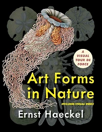 Art Forms Nature