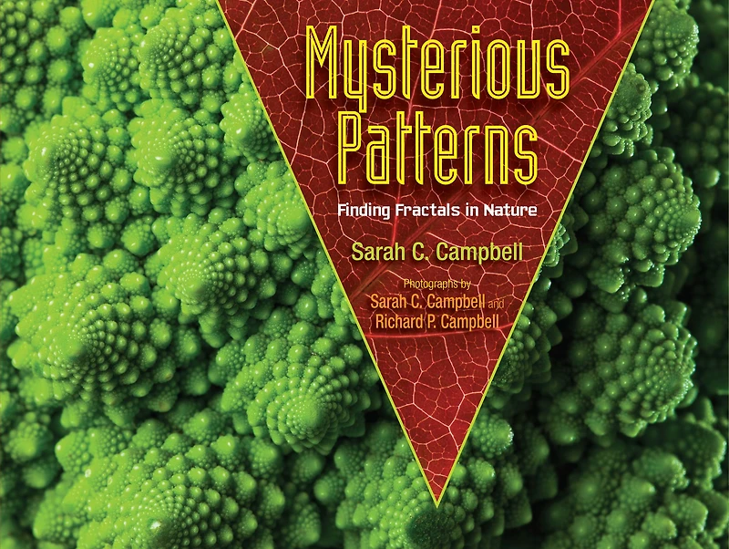Mysterious Patterns: Finding Fractals Nature