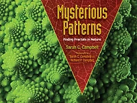 Mysterious Patterns: Finding Fractals Nature