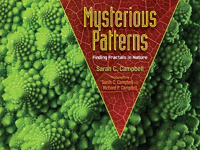 Mysterious Patterns: Finding Fractals Nature