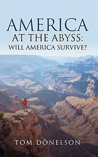America At The Abyss: Will Survive?