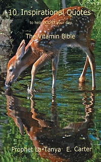 10 Inspirational Quotes to Help Boost Your Day: The Vitamin Bible