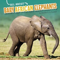 All About Baby African Elephants
