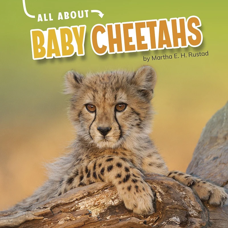All About Baby Cheetahs