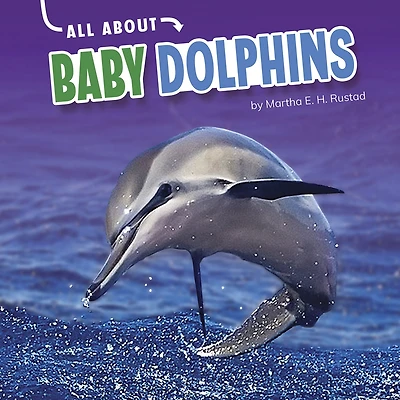 All About Baby Dolphins
