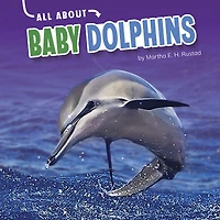 All About Baby Dolphins