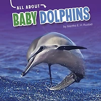 All About Baby Dolphins