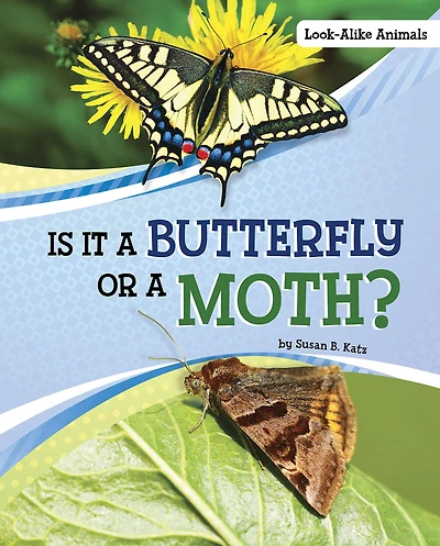 Is It a Butterfly or Moth?