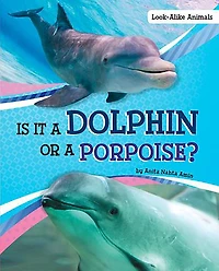 Is It a Dolphin or Porpoise?