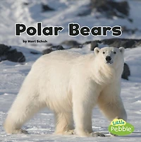 Polar Bears