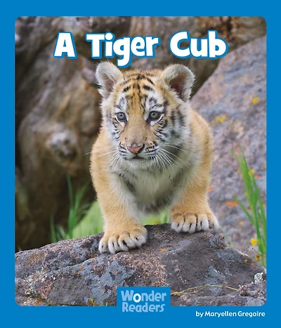 A Tiger Cub