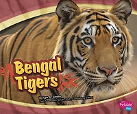 Bengal Tigers