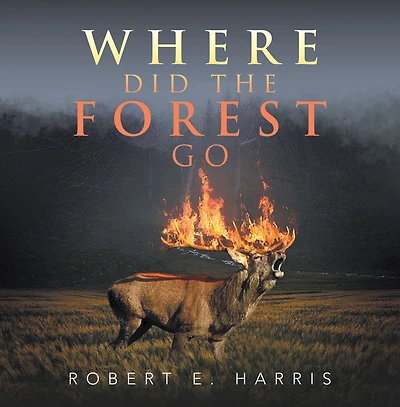 Where Did the Forest Go