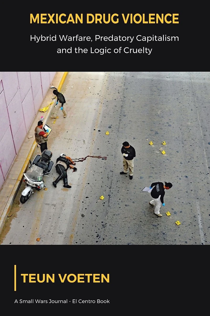 Mexican Drug Violence: Hybrid Warfare, Predatory Capitalism and the Logic of Cruelty