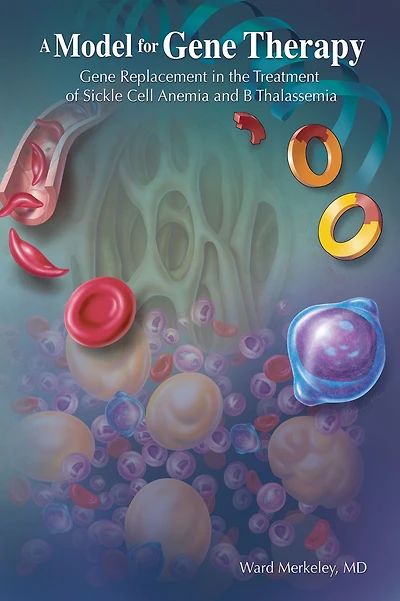 A Model for Gene Therapy: Gene Replacement in the Treatment of Sickle Cell Anemia and Thalassemia