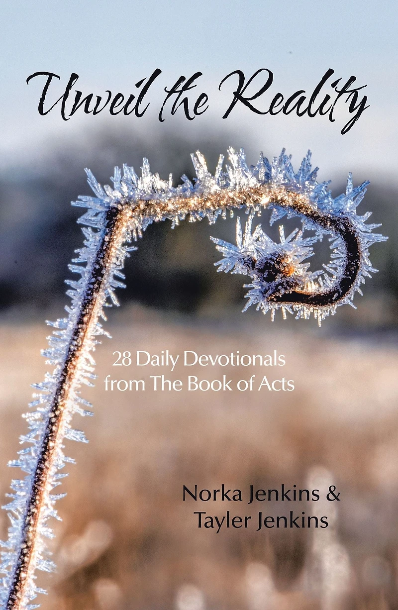 Unveil the Reality: 28 Daily Devotionals from the Book of Acts