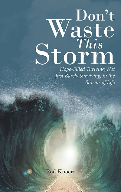 Don't Waste This Storm: Hope-Filled Thriving, Not Just Barely Surviving, the Storms of Life