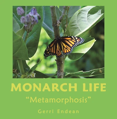 Monarch Life: "Metamorphosis"
